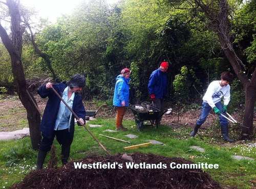 Westfields Wetands Committee